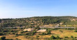 למכירה דירת גג 5 חדרים עם מרפסת שפונה לנוף ירוק וניצחי למכירה דירת גג 5 חדרים עם מרפסת שפונה לנוף ירוק וניצחי