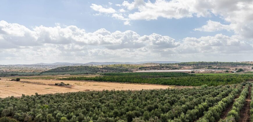 פנטהאוז יפיפה בשכונת הפרחים למכירה.