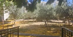 למכירה בחריש